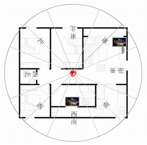 西南朝東北|坐西南朝東北的12個房屋風水專業建議，助你選擇最佳住宅。